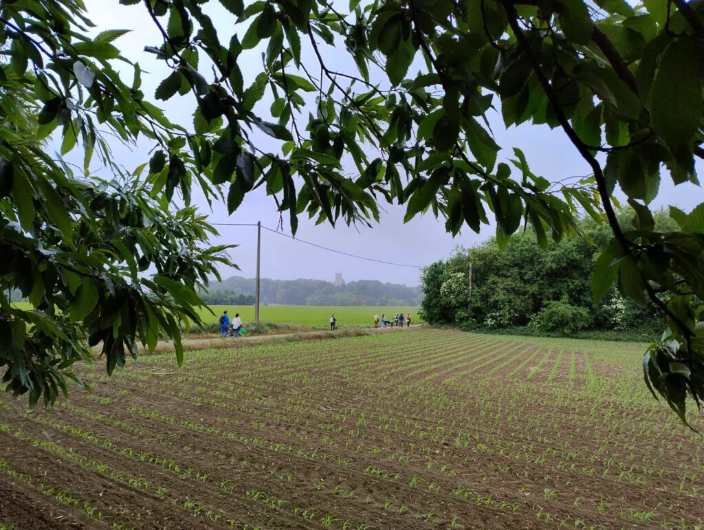 Wandelevent: Langs Pelgrimswegen naar Scherpenheuvel vanuit Diest 2026